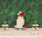 Hedge Wall Birthday