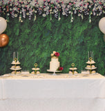 Hedge Wall Birthday