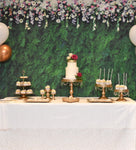 Hedge Wall Birthday